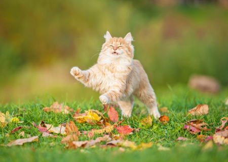 Τα άστρα την Δευτέρα, με την Σελήνη στον Υδροχόο.