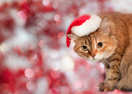 Τα άστρα την Τρίτη, με την Σελήνη στους Διδύμους.