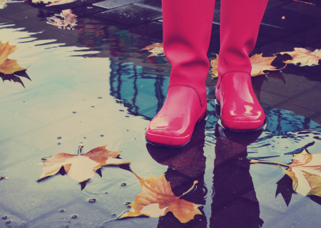 Τα άστρα την Πέμπτη, με την Σελήνη στους Ιχθείς.