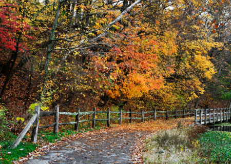 Τα άστρα την Τετάρτη, με την Σελήνη στον Ζυγό.