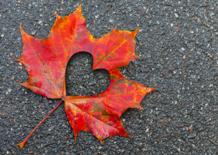 Αισθηματικές αστρολογικές προβλέψεις Σεπτεμβρίου 2017.