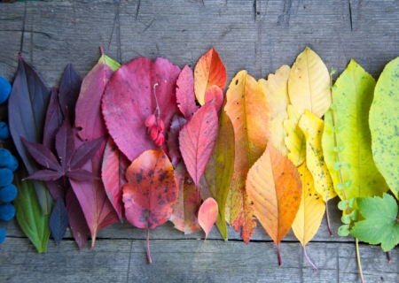 Σεπτέμβριος 2017 και προβλέψεις για τα 12 ζώδια, από την Μαρία Σύλλα.
