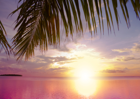 Ερωτικές προβλέψεις Ταρώ, για την εβδομάδα 15 ως 21 Αυγούστου 2016.