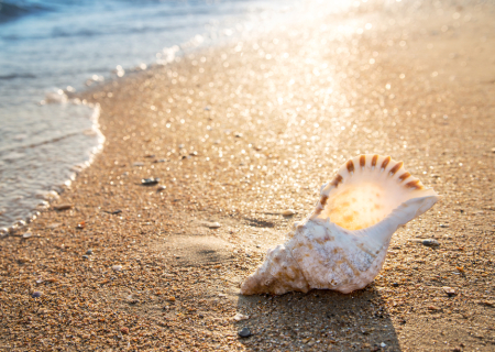 Ερωτικές προβλέψεις Ταρώ, για την εβδομάδα 25 ως 31 Ιουλίου 2016.