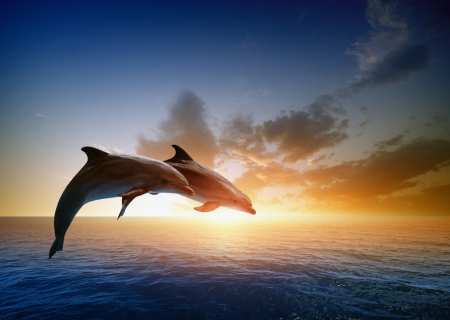 Ερωτικές προβλέψεις Ταρώ, για την εβδομάδα 5 ως 11 Σεπτεμβρίου 2016.